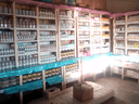 Kims Agrovet Mbaani's website